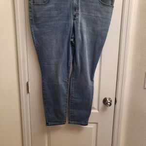 Terra & Sky Dark Blue Skinny Jeans